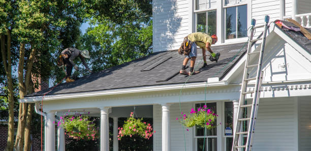 Best Roof Gutter Cleaning  in Kotzebue, AK