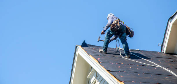 Best Roof Repair Services  in Kotzebue, AK